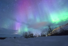 Aurora Borealis di Langit Amerika 