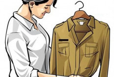 Daftarnya PPPK, Kok Minta PNS?