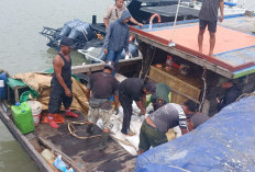 Benarkah Pelaku Pemain 'Tunggal'? Misteri 25 Ton Pasir Timah?