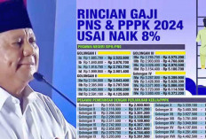 Perbandingan Gaji Guru Tahun 2025, Sebelum dan Sesudah Naik?