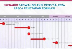  Ancer-ancernya, Pekan ke 3 Agustus, Tunggu Pendaftaran CPNS!