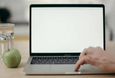 Dampak Perang dan Upaya Hemat BBM, Habis Lebaran, WFH!