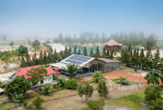 PT Timah Perkuat Dekarbonisasi Net Zero Emission 2060