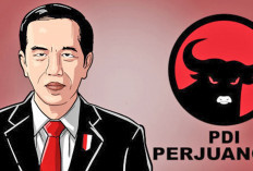  Jokowi Bakal Tak Hadir Dalam HUT ke-51 PDIP?