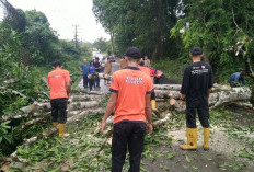 Awas! Cuaca Ekstrem di Babel