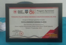 Demokrat Satu Satunya Partai yang Mendapatkan Penghargaan dari PMI Basel