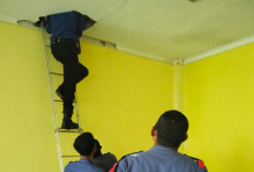 Ada Burung Hantu di Plafon Kampus IAIN SAS