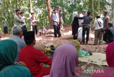 Disbudpar Babar Fasilitasi Ritual Sedekah Gunung Pelangas