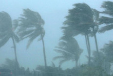  Hari ini, Cuaca Ekstrim Masih Mengancam, BMKG: Waspada Januari - Maret