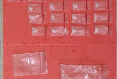 IRT di Desa Rajik Ketahuan Simpan 67 Paket Sabu