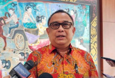 Ari Dwipayana: Tak Benar Presiden Minta Bertemu Megawati