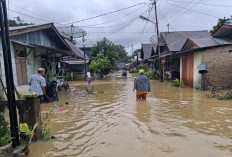Banjir dan Longsor, Sumut Porak Poranda