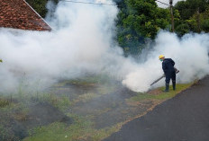 PT Timah Lakukan Fogging