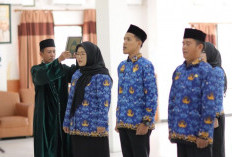 Gubernur: CPNS - PPPK Harus Profesional