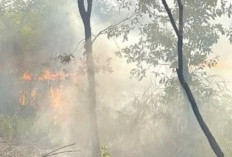 Di Babel, Karhutla Sudah Lahap 66 Ha Lahan