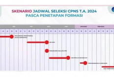 Skenario CPNS, 3 Agustus Hingga 2 September 2024?