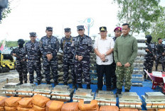 TNI AL Akan Sinergis Tindak Penyelundupan Timah dari Babel, Ratusan Miliar Kerugian Negara Diselamatkan