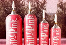  Whip Pink, Narkoba Penghancur Jantung