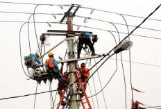 PLN IP Berhasil Memasok Listrik 83.082 GWh