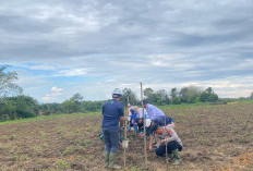 Polsek Mendo Barat Tanam Jagung, Upaya Mendukung Ketahanan Pangan