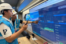 PLN Setor Rp 65,59 Triliun Lewat Dividen, Pajak dan PNBP