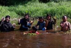 KKN PPM UGM Aksi Bersih Sungai Nyor Saing  	