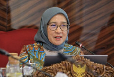 Usulan Formasi PPPK 2024 di Daerah Belum Optimal