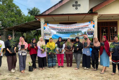 Mahasiswa KKN Hidupkan Pemanfaatan TOGA