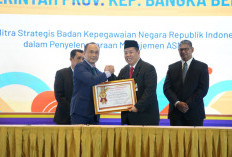 Pemprov Babel Juara, Gubernur Hidayat Arsani Terima Anugerah BKN Award