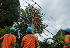 PLN Berhasil Jaga Layanan Momen Pergantian Tahun