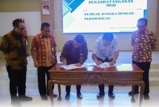 Bulog Bangka Siapkan 1.800 Ton Beras Jelang Imlek & Ramadhan