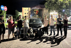 Lakukan Penipuan Mobil Rental, Dua Warga Toboali Diamankan Polisi