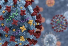 ‘Super Flu’ Tak Ganggu Sekolah!