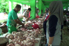 Inflasi Babel September 2025 Tetap Terjaga