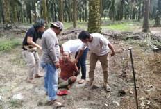 DPO Curat Warung di Desa Sempan Ditangkap Tim Kelambit Polres Bangka