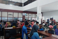 12.500 Unit Kendaraan Manfaatkan Program Pemutihan Pajak