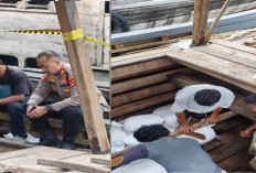 Ditunggu Kapal Asing, Paman dan Ponakan Terlibat Penyelundupan Timah