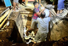 Tim Trisula Gagalkan Penyelundupan Timah! Mau Kirim ke Luar Negeri?