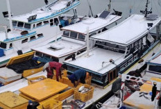 Nilai Produksi Ikan Tangkapan Nelayan Capai Rp26 M