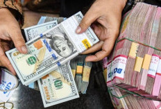 Rupiah Ambrol, Alasan Purbaya?