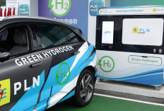 PLN Pacu Inovasi Hidrogen Lautan Bebas Emisi