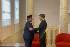 ﻿Ucapan Selamat Melalui Telepon dari Presiden Prancis untuk Prabowo
