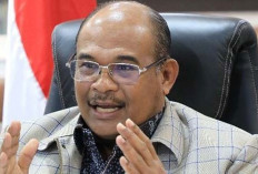  Tak Penuhi Kriteria, Babel Usul 25 Pulau Kecil Dicoret