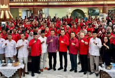 Rudianto Tjen: Bangka Butuh Fery Insani-Syahbudin, Dua Figur Berpengalaman