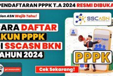 Ingat! Ini Gini Buat Akun PPPK 2024, Perlu Diketahui Pelamar