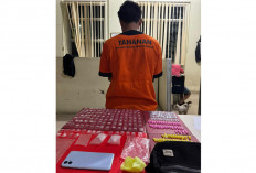 Pengedar Narkoba di Batu Belubang Ditangkap