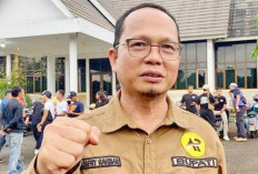  Algafri: Kami Mau PT Timah Segera Garap Merbuk Kenari