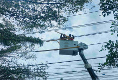 Idul Adha, PLN Tingkatkan Keandalan Kelistrikan