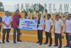 Bank Sumsel Babel Salurkan CSR Rp365 Juta Kembangkan Agrowisata Desa Namang