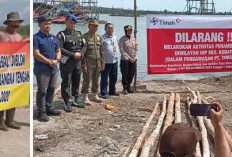 Kawasan Cadangan Negara Pungguk, Kinari, dan Merbuk Disikat Anak Negeri Tanpa Regulasi...